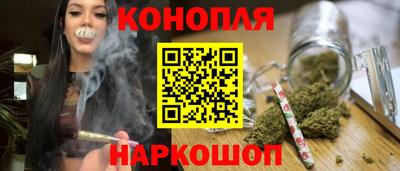 хмурый Кингисепп
