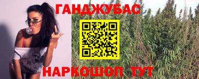 Альфа ПВП Кимры