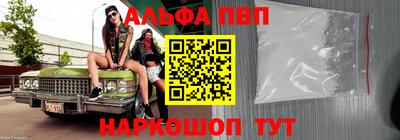 хмурый Кингисепп