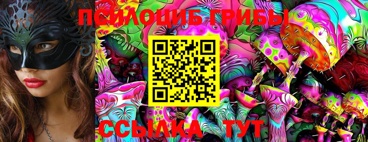 Галлюциногенные грибы Psilocybine cubensis Нарьян-Мар